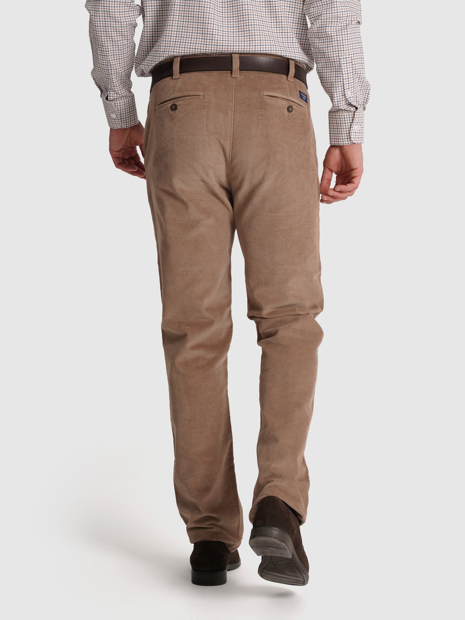PANTALÓN ALGODÓN CAMELLOS CLASSIC FIT MR. AZUL