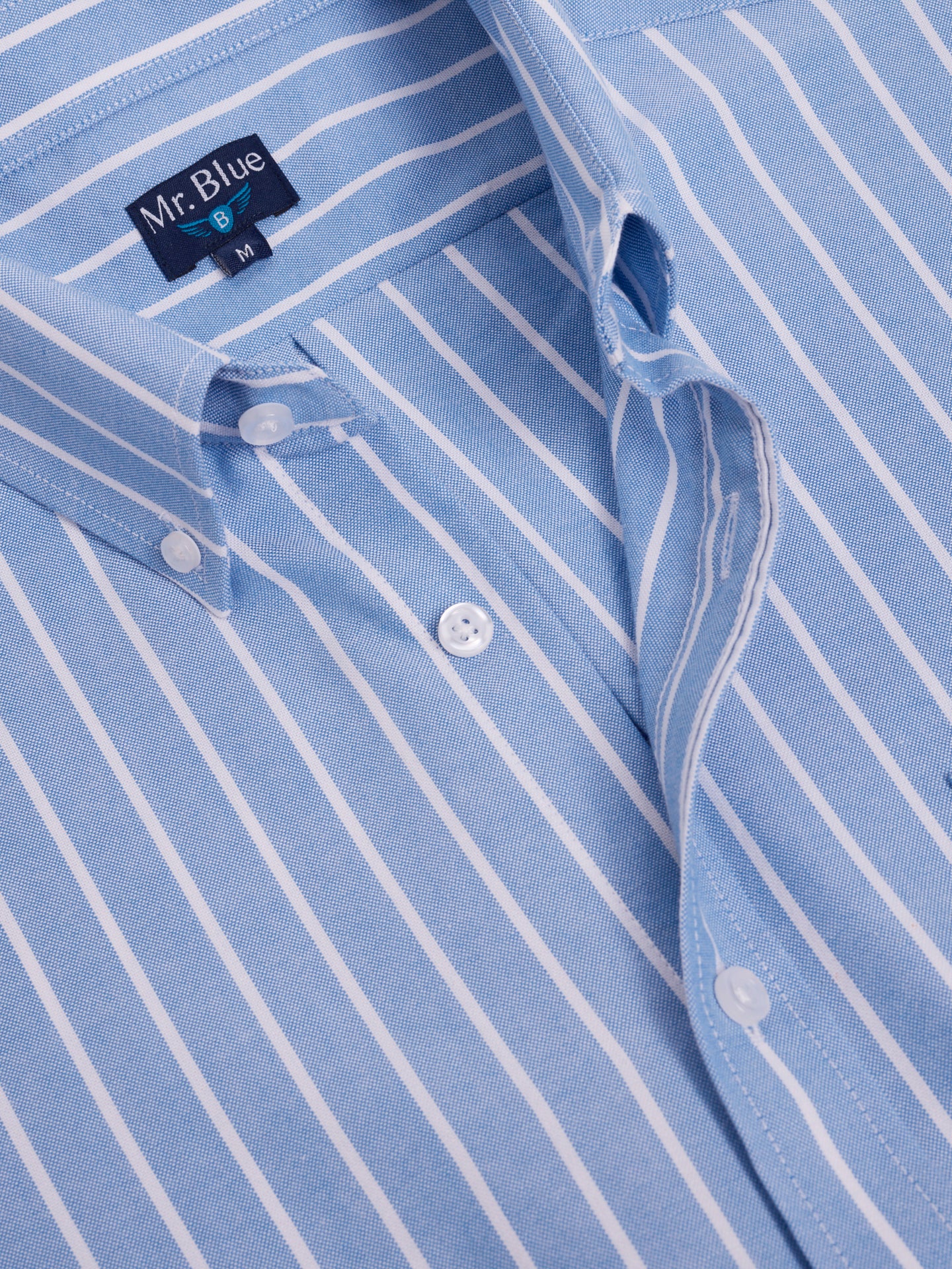 CAMISA ALGODÓN AZUL MANGA LARGA REGULAR FIT MR. AZUL