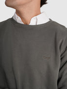 SUDADERA DE ALGODÓN VERDE MANGA LARGA REGULAR FIT MR. AZUL