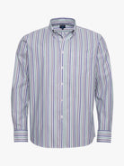 CAMISA ALGODÓN AZUL MANGA LARGA REGULAR FIT MR. AZUL