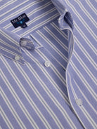 CAMISA ALGODÓN AZUL MANGA LARGA REGULAR FIT MR. AZUL