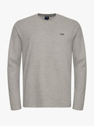 CAMISETA ALGODÓN GRIS MANGA LARGA REGULAR FIT MR. AZUL
