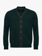 JERSEY DE ALGODÓN VERDE MANGA LARGA REGULAR FIT MR. AZUL