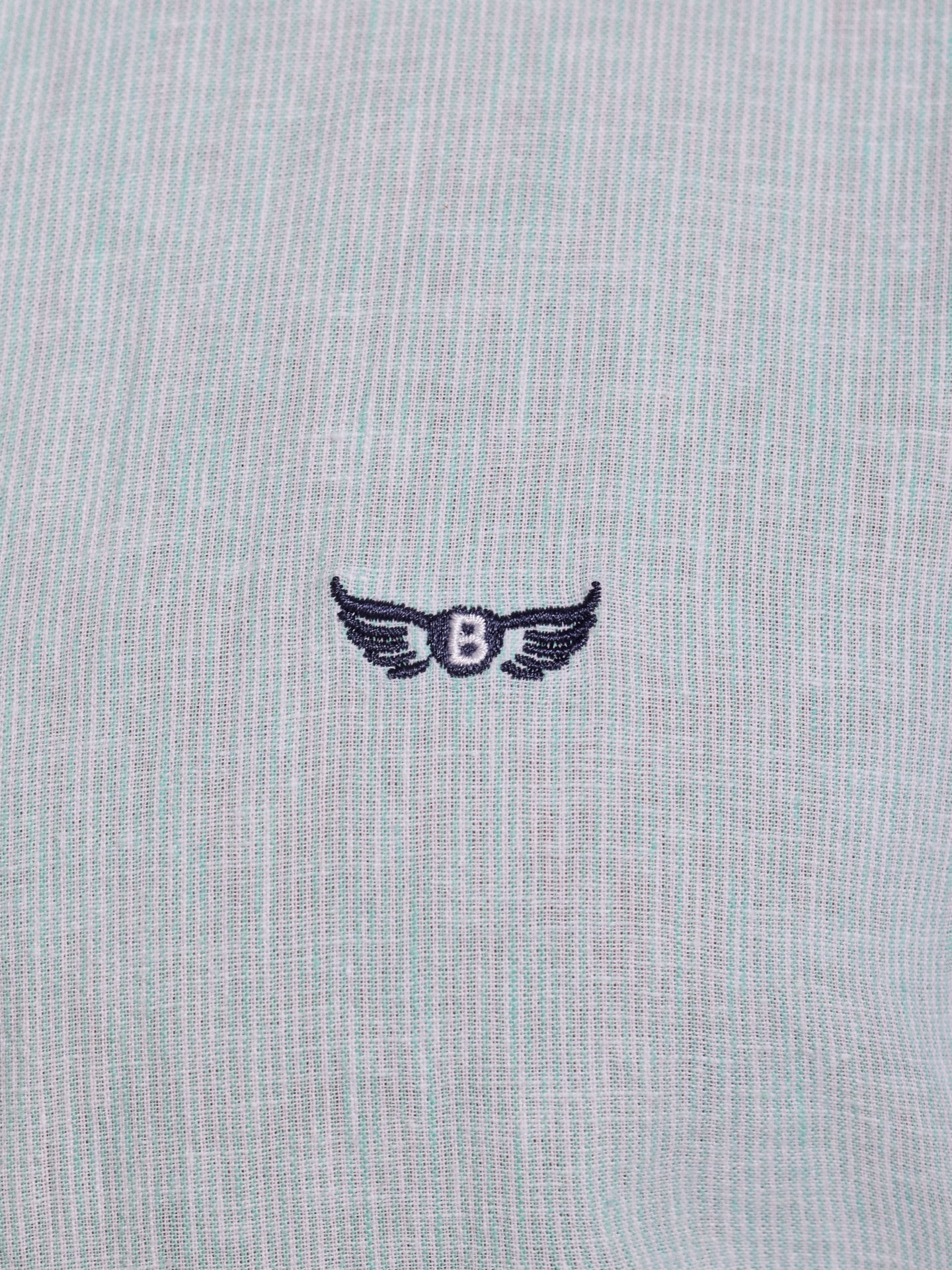 Camisa Linho Verde Manga Comprida Regular Fit Mr. Blue