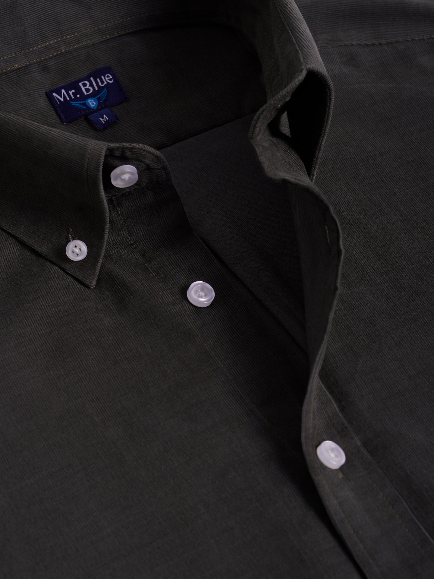 CAMISA MR VERDE REGULAR FIT. AZUL