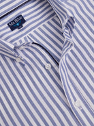 CAMISA ALGODÓN AZUL MANGA LARGA REGULAR FIT MR. AZUL
